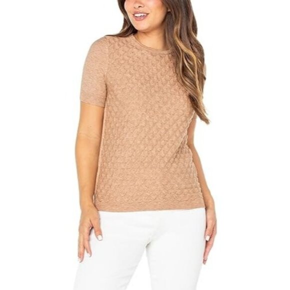 NEW Well Worn Women's XL Tan Short Sleeve Sweater Top Textured Diamond - Picture 1 of 8